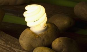 Need Light? Boiled Potatoes Can Supply Enough Power To Light A Room For 40 Days