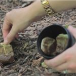 She Planted These Tea Bags in Her Garden, And What Happened is Beyond Incredible
