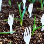 She Sticks Forks in Her Garden For a Truly Genius Reason!