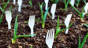 She Sticks Forks in Her Garden For a Truly Genius Reason!