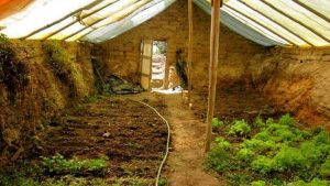 Build a $300 Underground Greenhouse for Year-round Fresh Food
