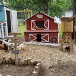 Man Builds Wife’s Chickens A Mini “Coop Town” And It’s The Cutest Thing Ever